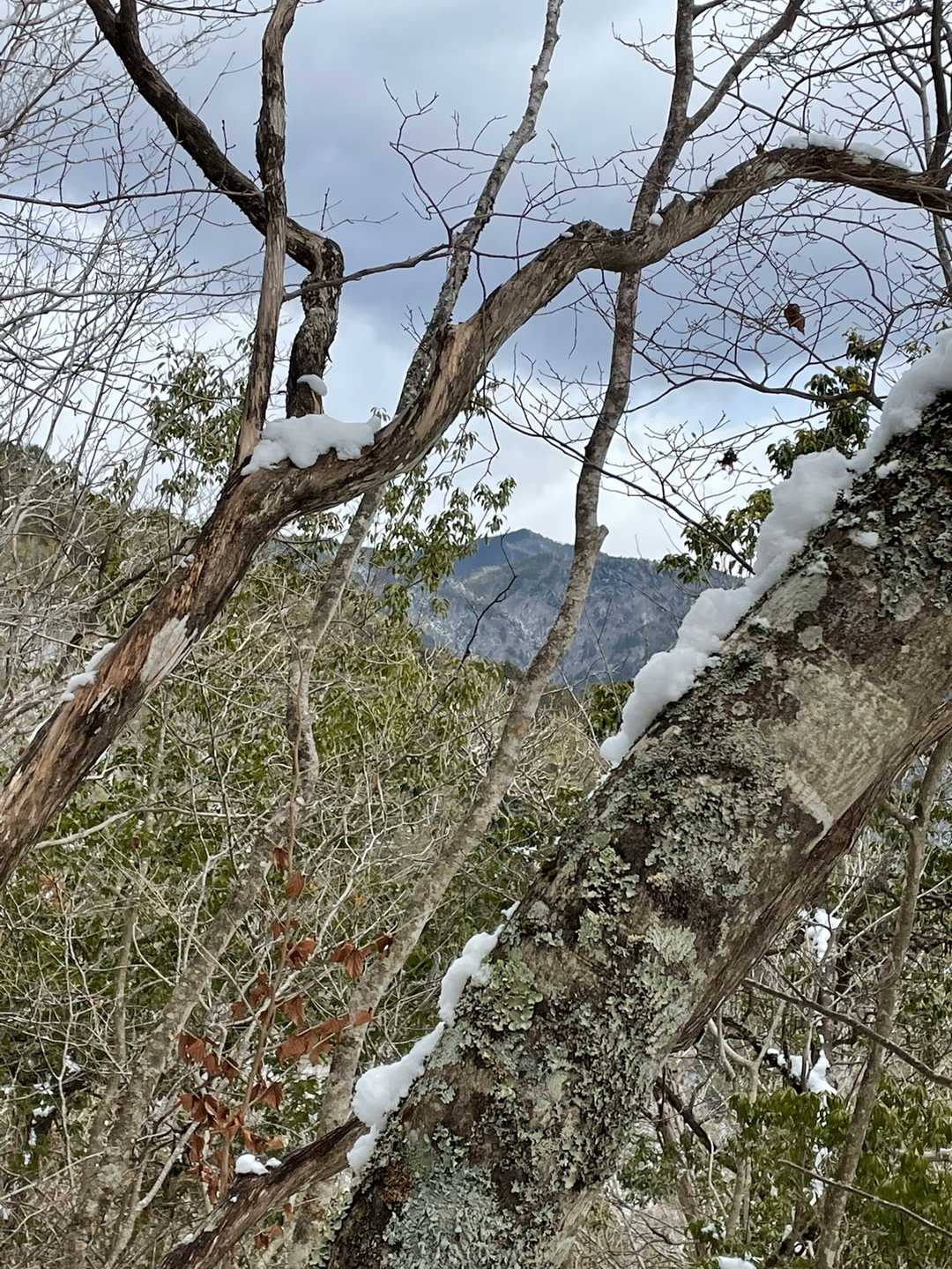 さっき登った堂塚山が見える✨