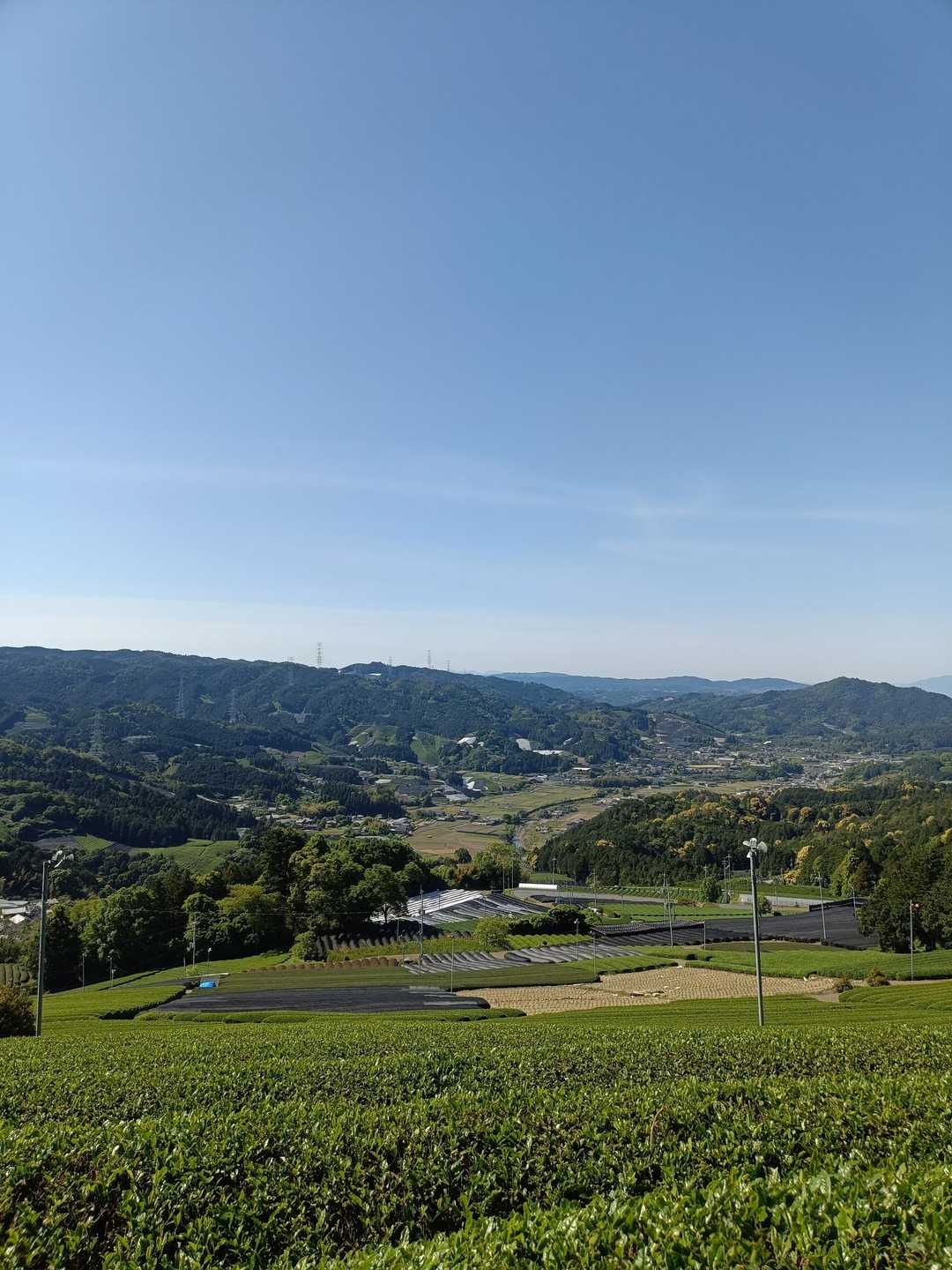 鷲峰山-釈迦岳 周回コースの写真