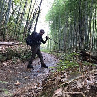 とくやん