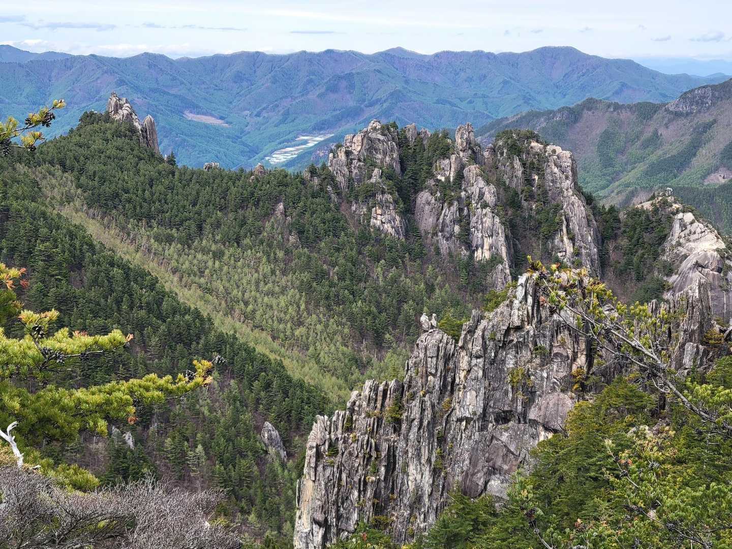 岩の上に登ると小川山の岩峰群
今日一の展望✨
この後…
周回予定の分岐の標識を見落としてピストンになりました🥺