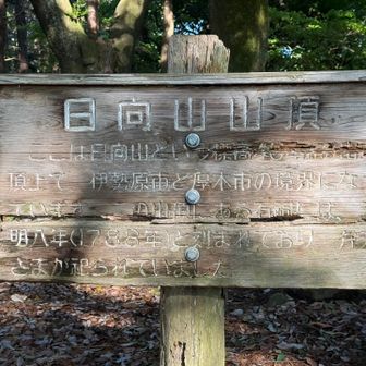 日向山に到着