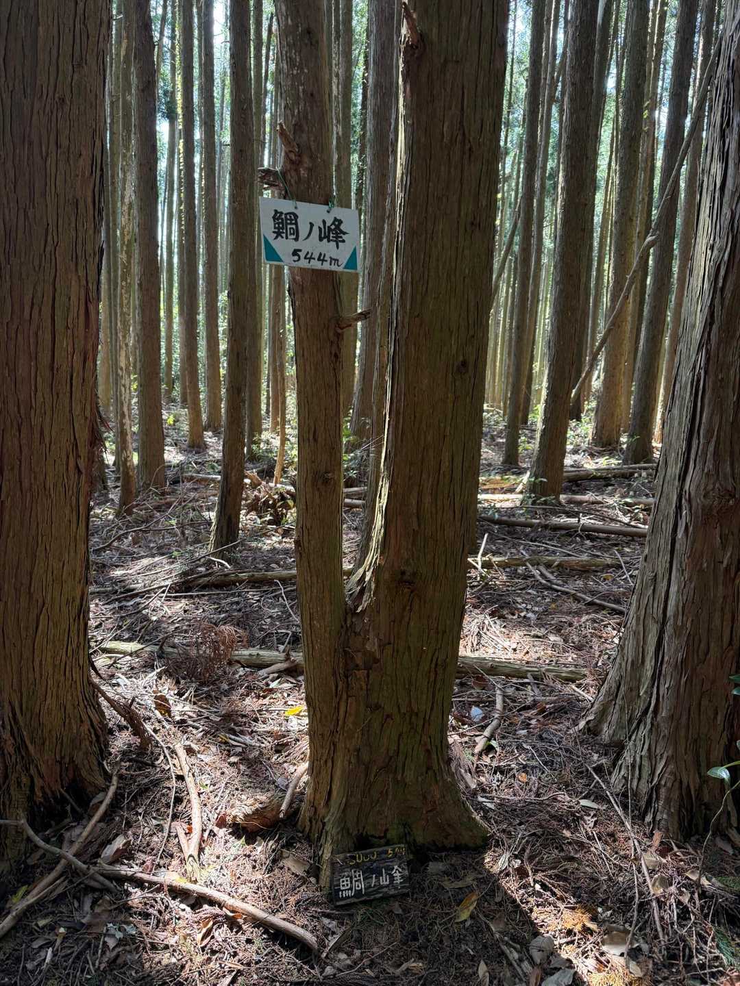 どこが山頂か曖昧