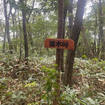 頂上から尾根道を歩いて峠へ