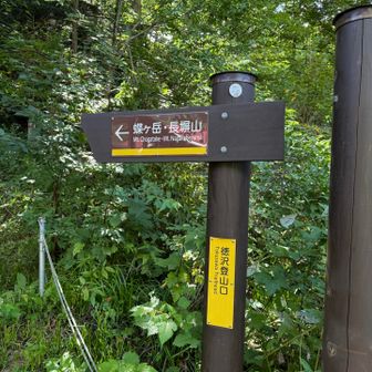 お疲れ様でした