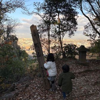 浅間山の山頂です。標高86m。
こちらには木々の間から眺望がありました。