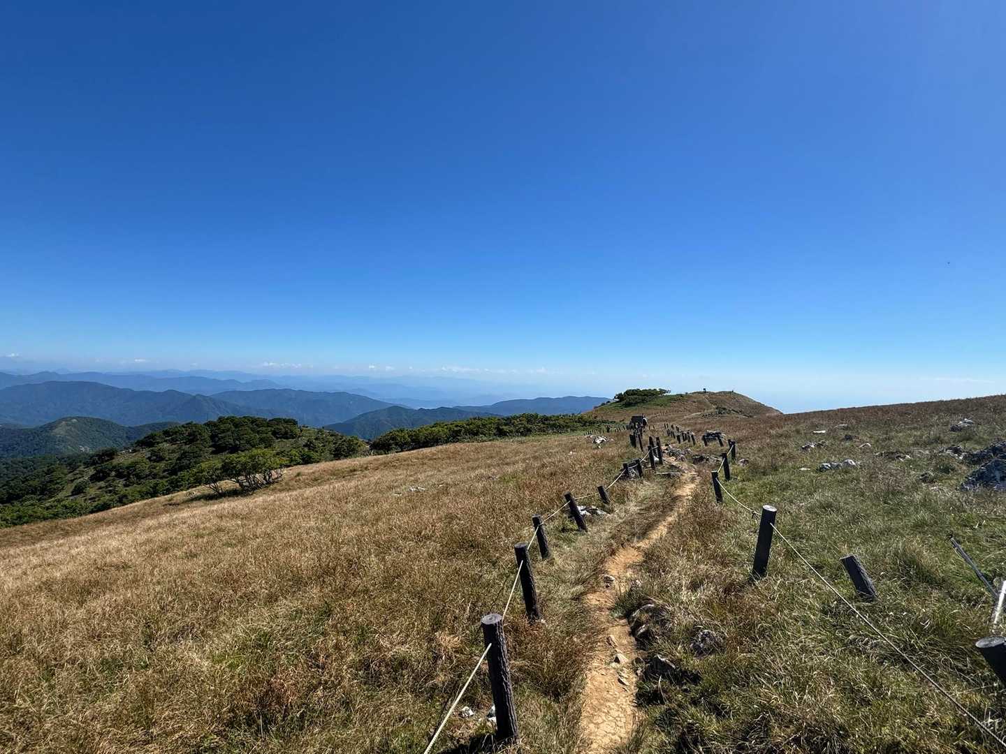 伊吹山 周回コース | 9合目から始まる、花と琵琶湖の日本百名山の写真