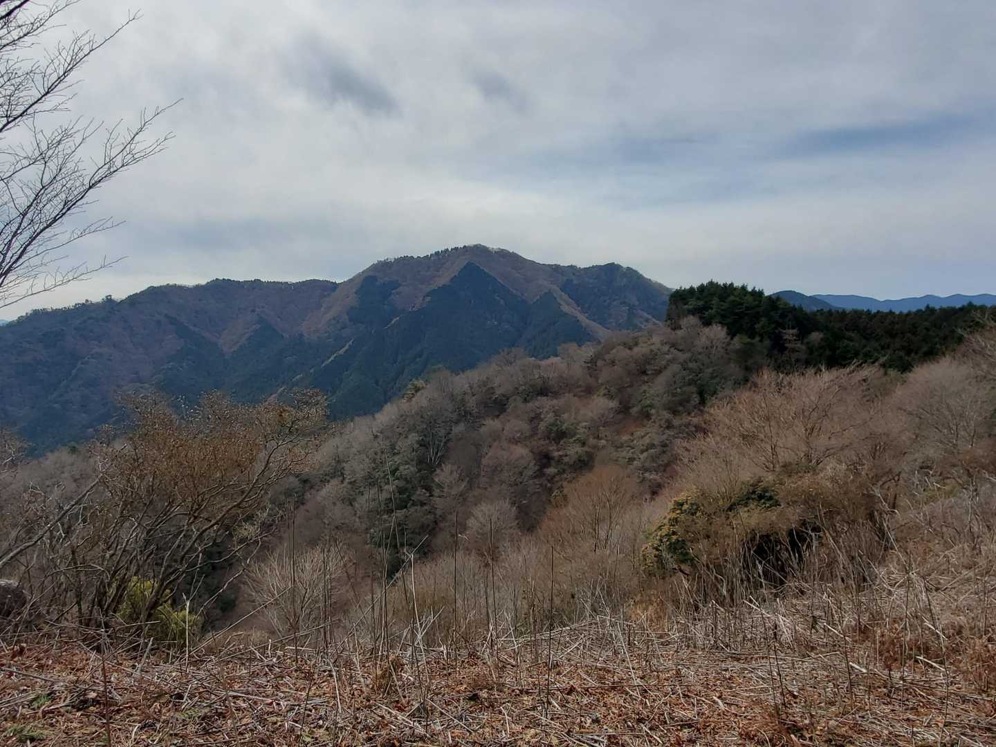 振り返ると堀坂山