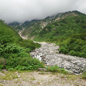 山頂方面を望む。