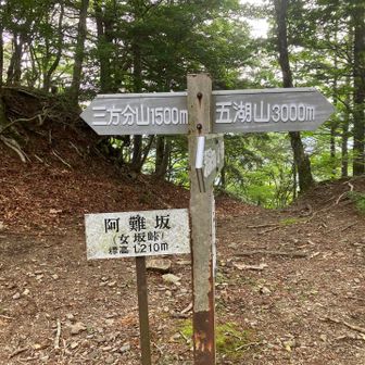 ここから稜線沿いを歩きます。