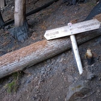 つつじコースとの合流地点。