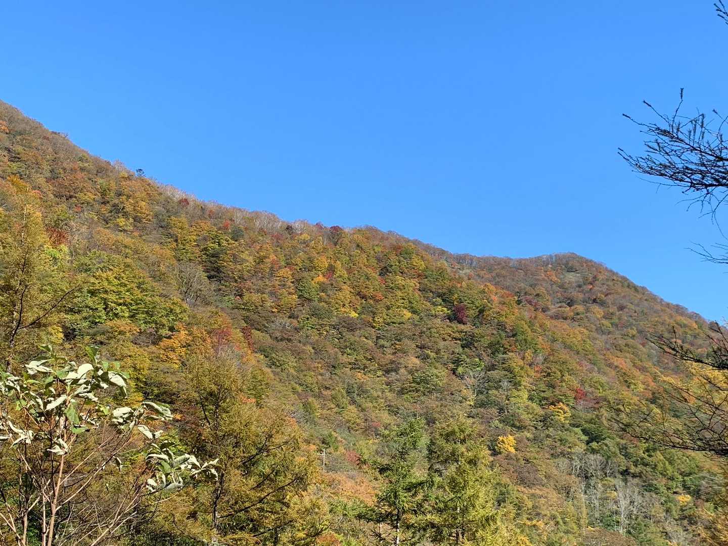 夫婦山入口-月山入口-月山-月山登山口 往復コースの写真