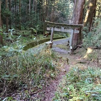 結局メインルートから下って登山口に到着。これが今年の登り納めになるでしょうか。