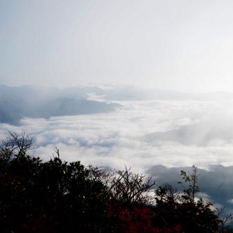 眼下に雲海が広がっていました。