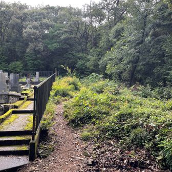 岩戸公園駐車場🅿️からお墓横の道を通ります