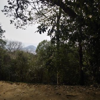 天の香具山山頂。誰にもすれ違いませんでした。