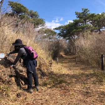 山頂といっても尾根道の途中です。