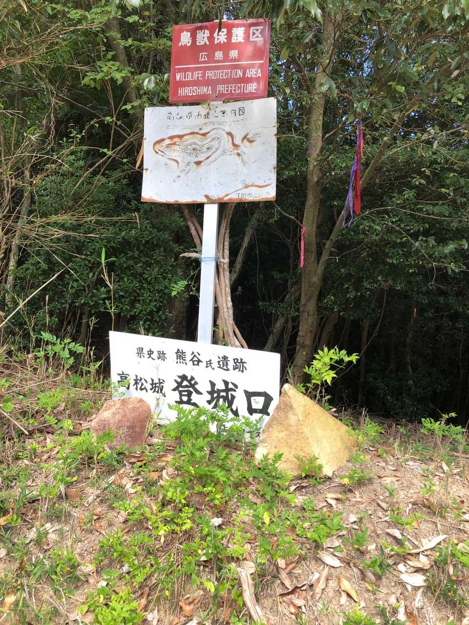 高松山 往復コースの写真