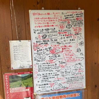 塩見にも雷鳥いるのかー
