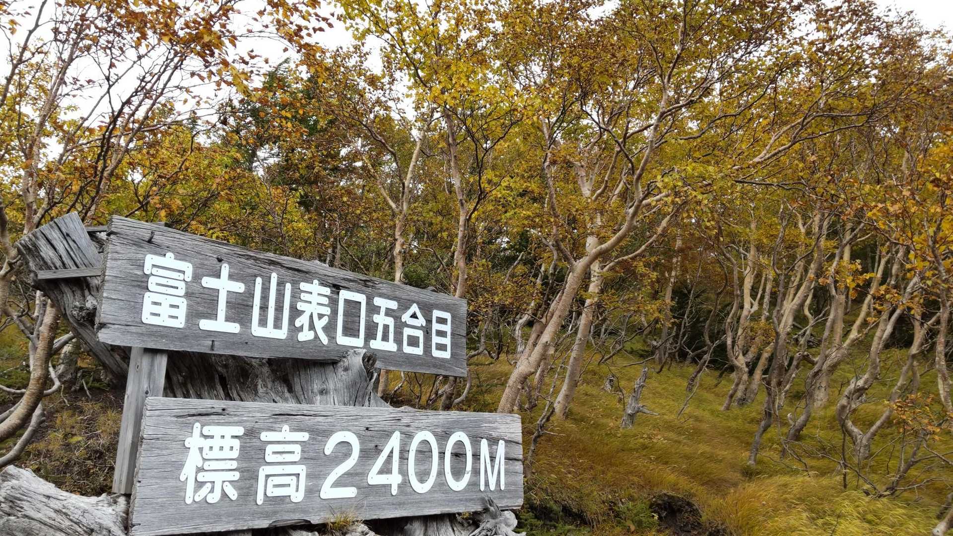 ゴール🎊
楽しかった👍