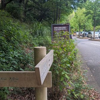 駐車待ちの車が沢山並んでました