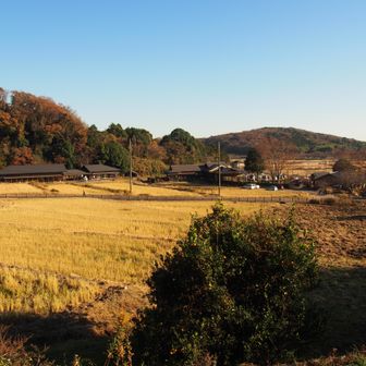 やっとこ下山
結構歩きましたね