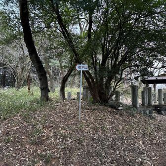 直ぐに根元山ー。
