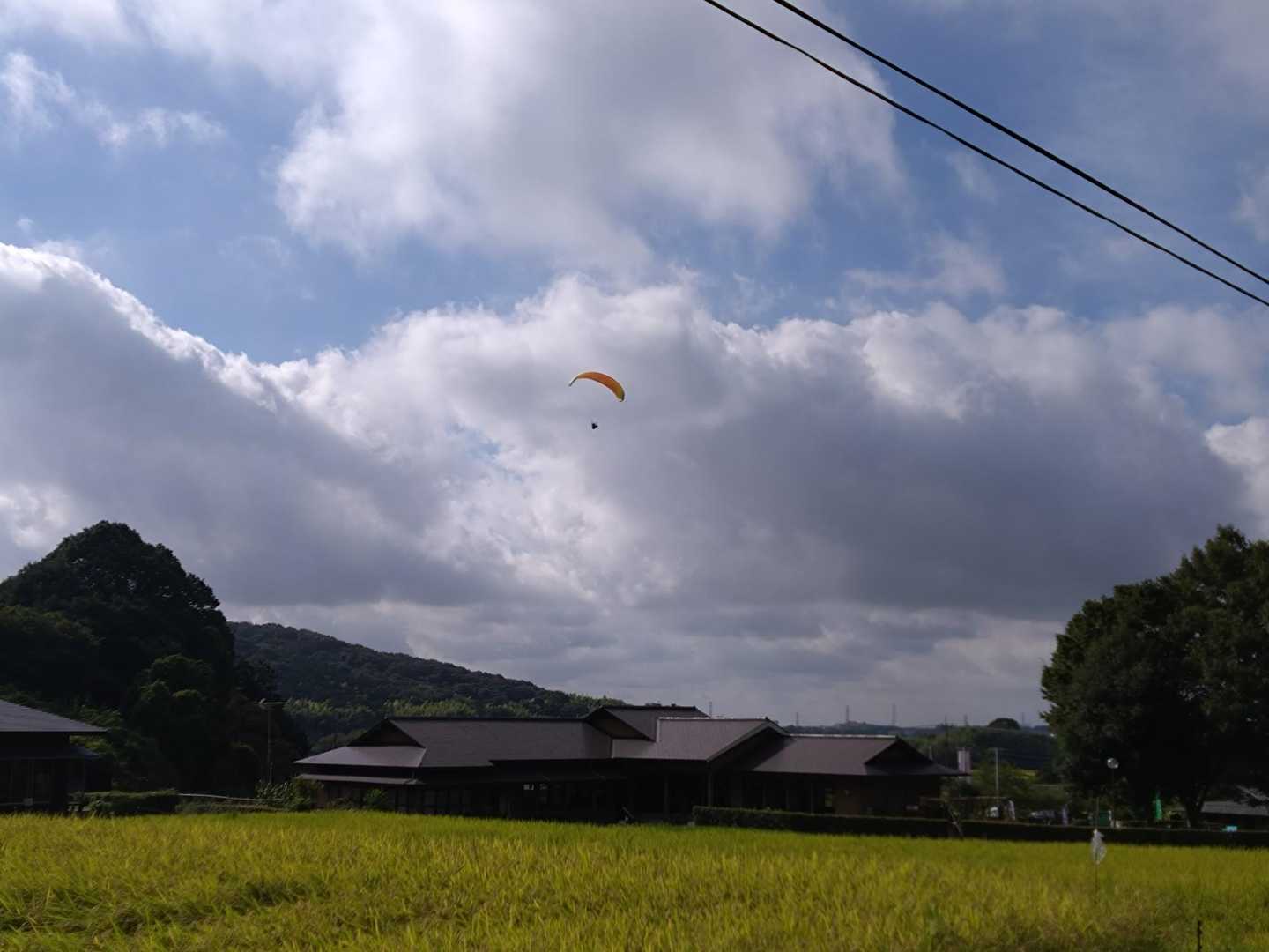 気持ちよさそう