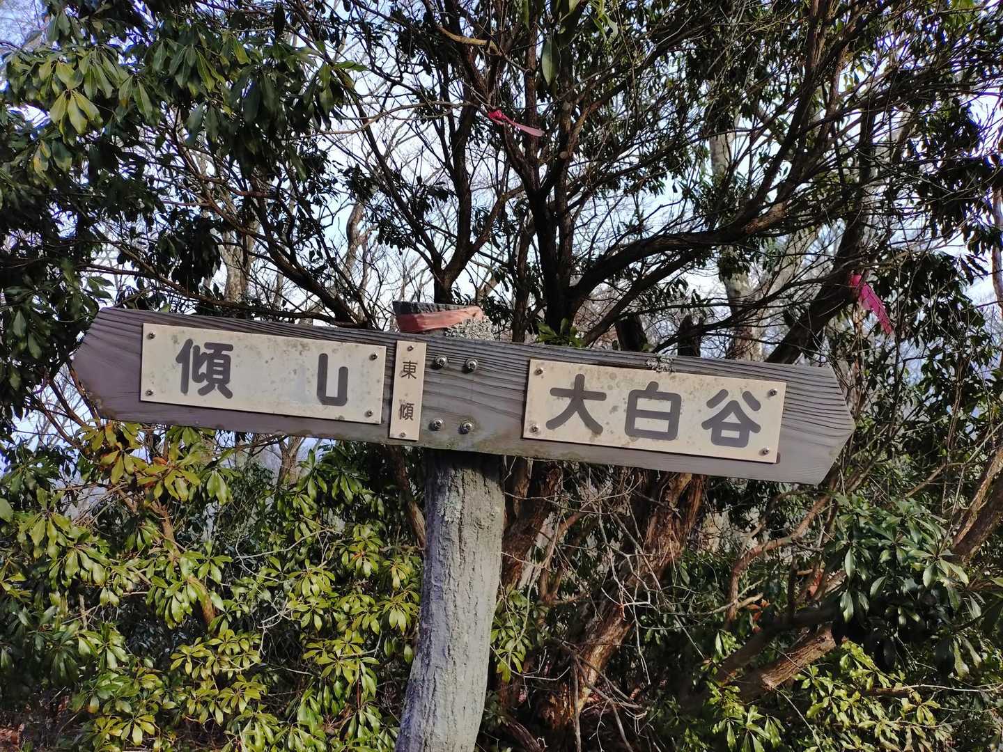 東傾山
見落としそうな山頂標識💦