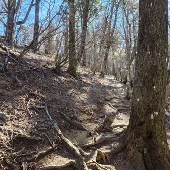 一旦下って茶臼山へ