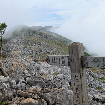 近江展望台。こういう景色が登山感あって寧ろピーカンより好きかもですね〜😚