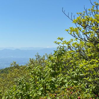 🗻まだ拝めます