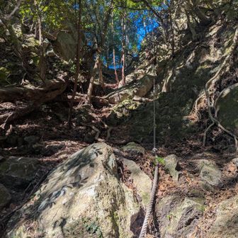 岩場でゴツゴツしている所にはロープが付けられてて下りでも安心かな