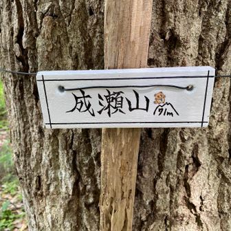 ここの山頂標識もかわいい