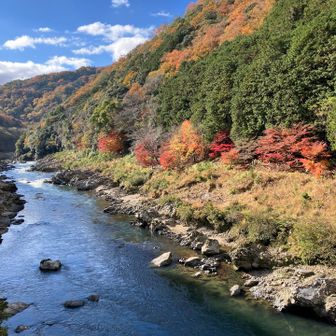 トロッコ保津峡駅より2