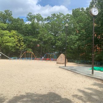 スタートしていきなり
志賀山ピークゲット✨
思いっきり公園ですけど💦