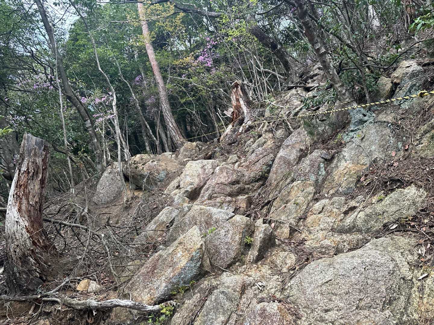 ロック🪨