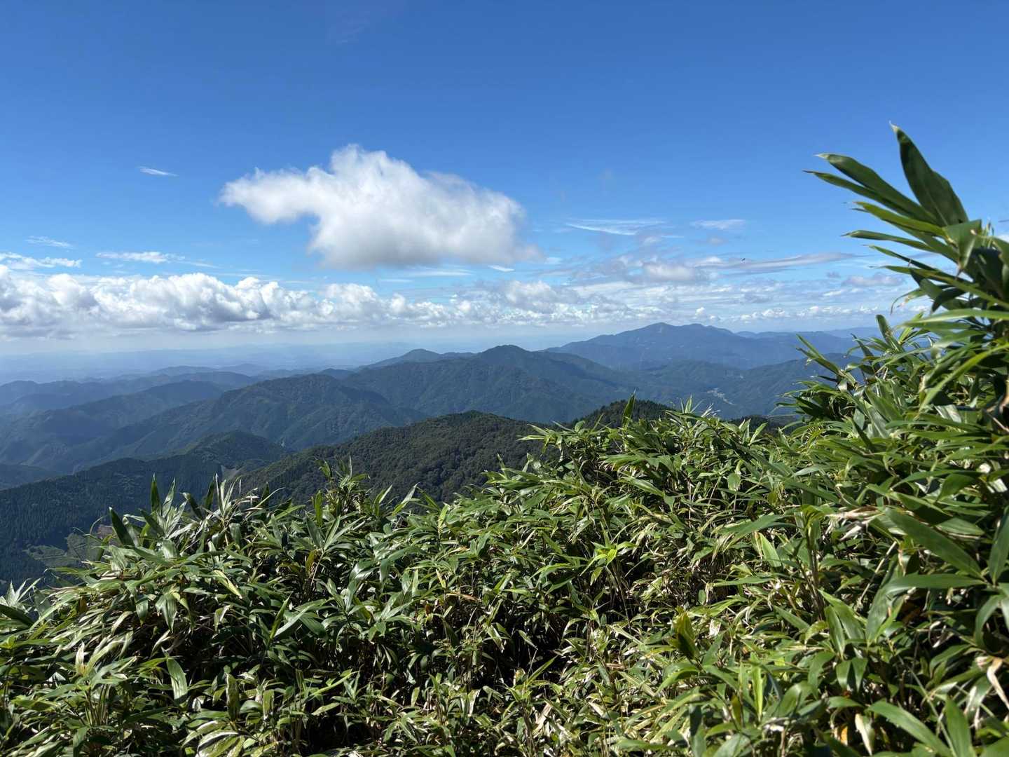 沖ノ山 往復コースの写真