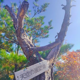 このプレートの感じ好き💕