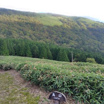 丸山〜
