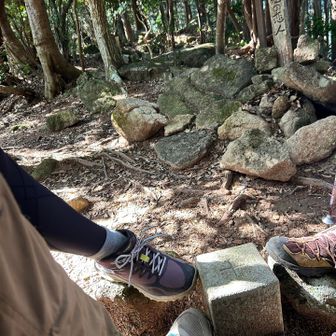 頂山　397m  
展望ありません