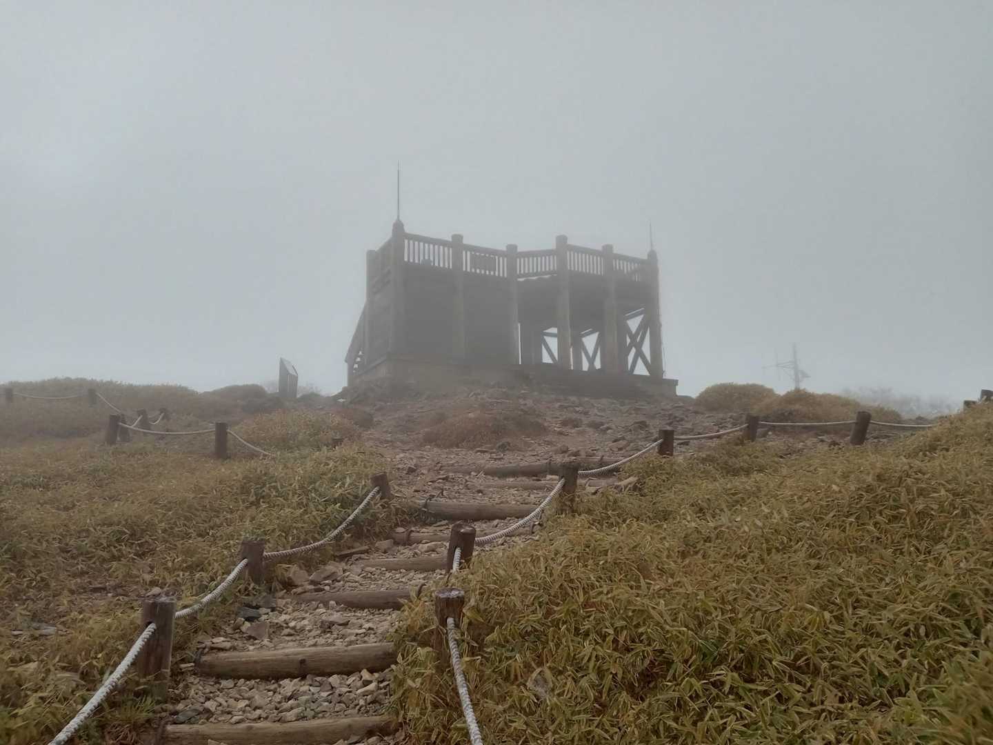 山頂に着きました
