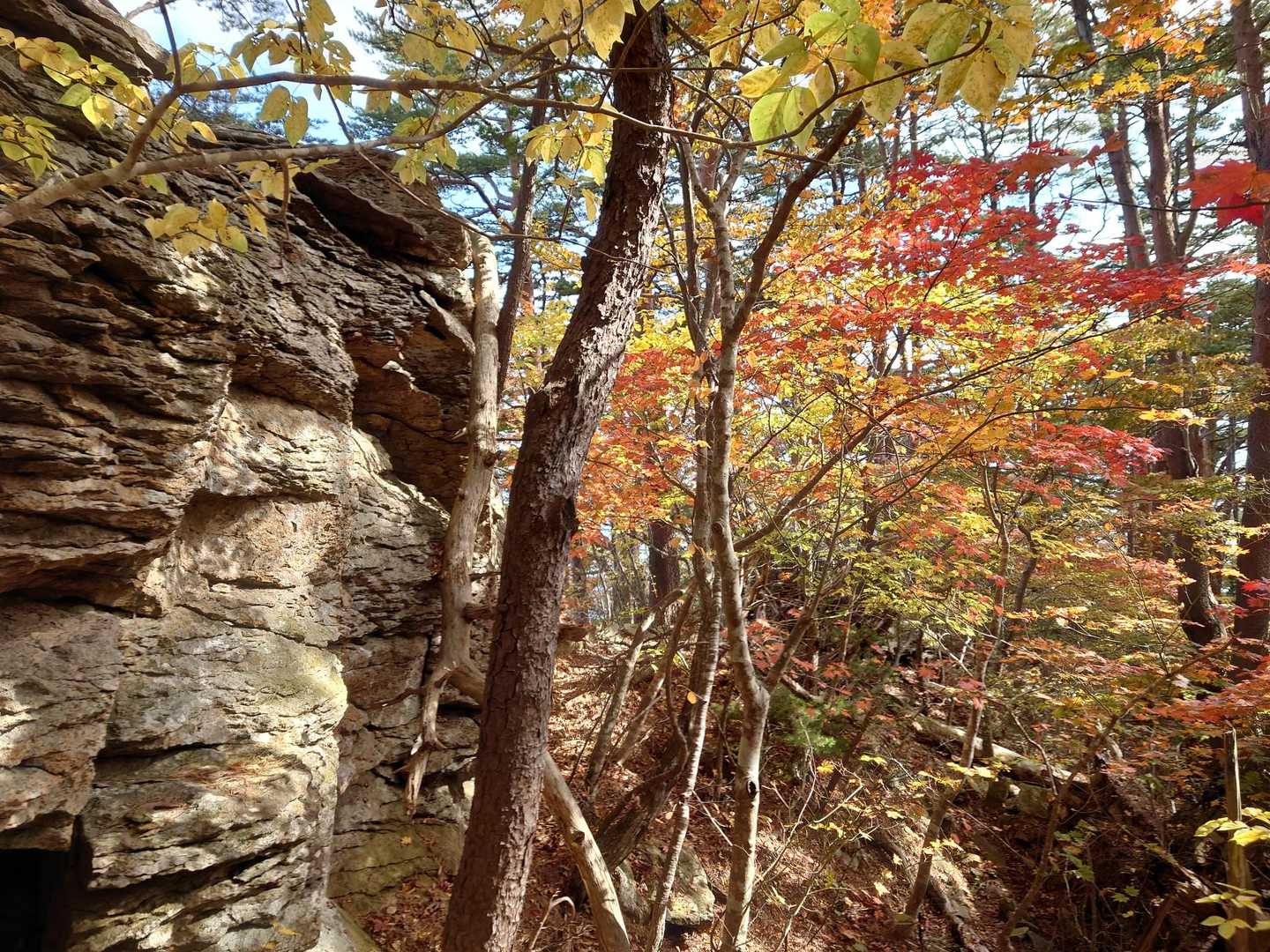 ミルフィーユみたいな岩が沢山