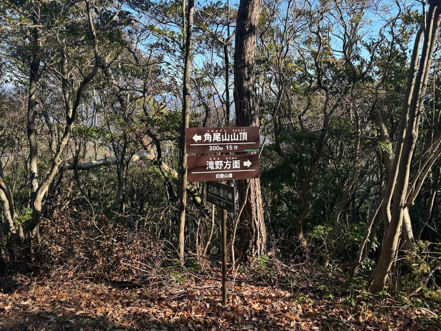 標識も沢山あって、道に迷う心配は皆無でーす🙆‍♀️