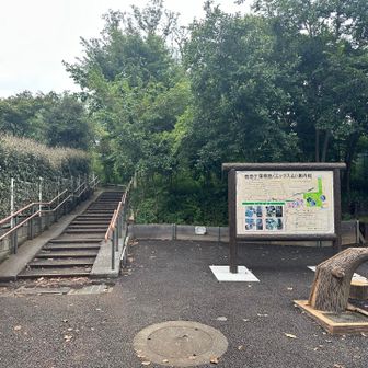 借りた自転車を返却した場所から歩いて直ぐ、エックス山の登山口です。