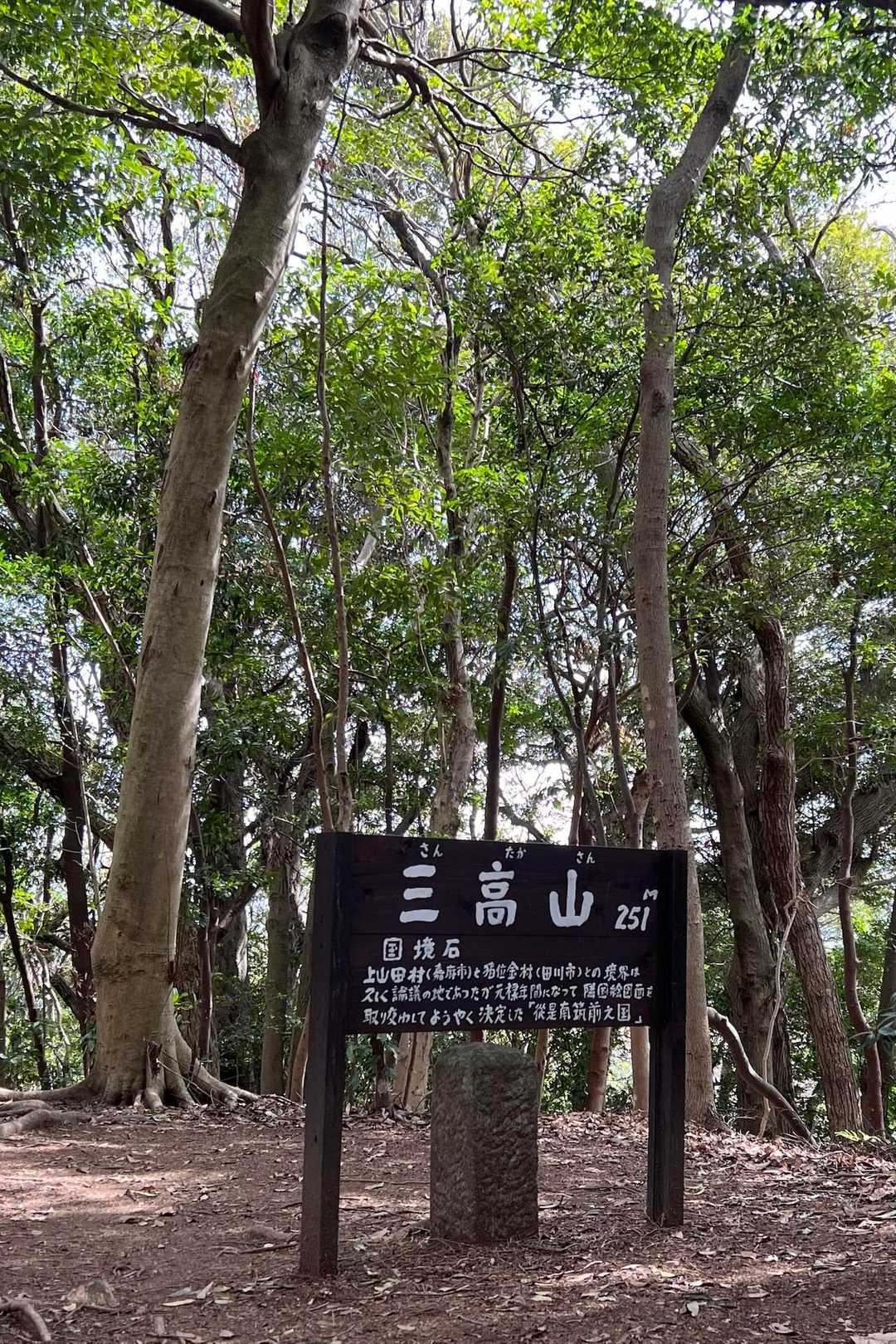ここの登山口まで、芳子さんが付き合ってくれました。
お陰で、楽しかった♪😊