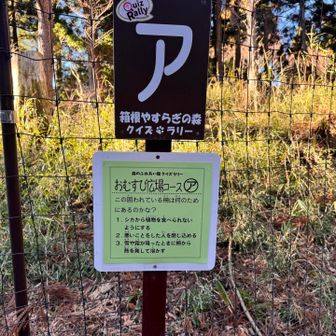 クイズラリーあるんか