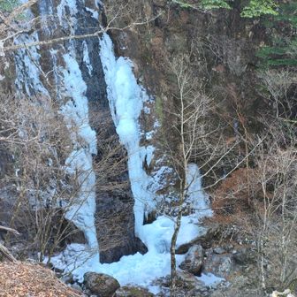 ルートに復帰するのに結構な
急登を😂