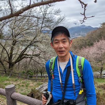 てくてくやまさん