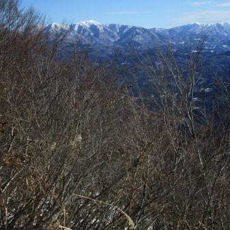 花立峠から長工新道へ入ってすぐの道からの守門岳