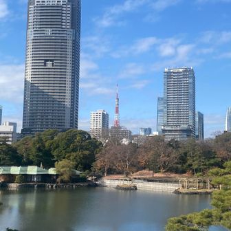 東京タワー🗼が見えました